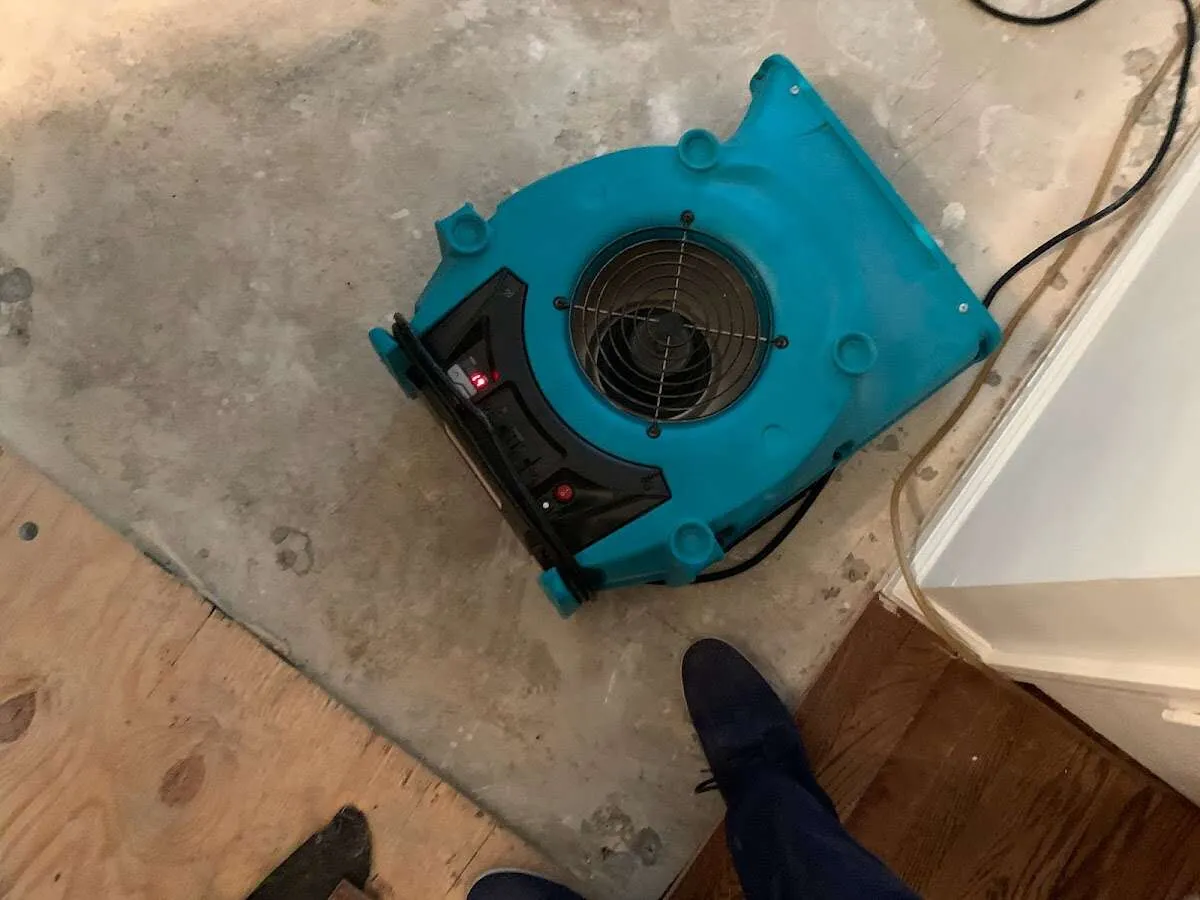 Air mover drying subfloor during Commercial Water Damage Restoration in Bedminster